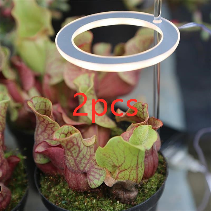 Sybille – LED Plantenlamp met Volledig Spectrum voor Binnenplanten