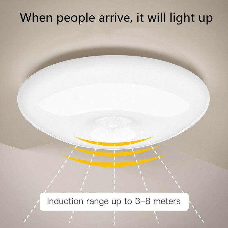 Juliette – Oplaadbare Infrarood Plafondlamp voor Garage en Kleedkamer
