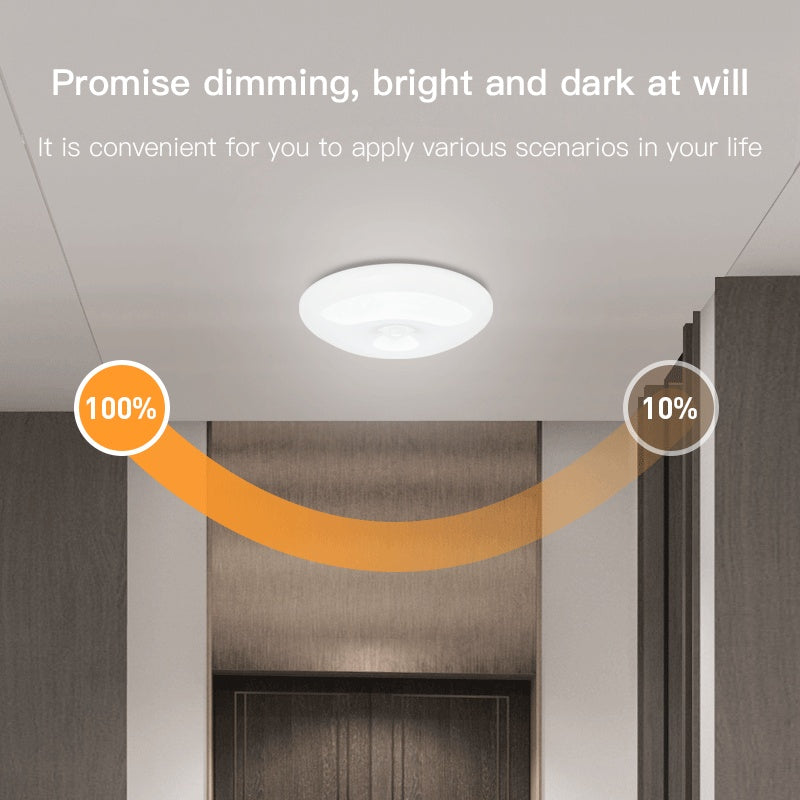 Juliette – Oplaadbare Infrarood Plafondlamp voor Garage en Kleedkamer