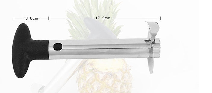 Flint – Roestvrijstalen Ananas Schiller en Snijder Keukenhulpmiddel