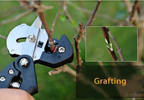 3-in-1 Professionele Entschaar – Nauwkeurige Snoeischaar voor Fruitbomen & Planten  Productbeschrijving: