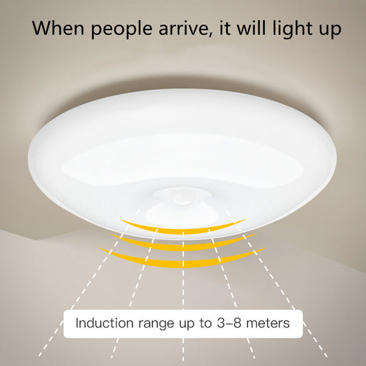Juliette – Oplaadbare Infrarood Plafondlamp voor Garage en Kleedkamer