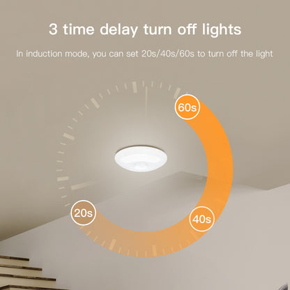 Juliette – Oplaadbare Infrarood Plafondlamp voor Garage en Kleedkamer